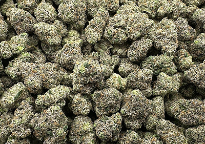 Blueberry Airhead | Very High End Indica