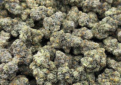 Biscotti (Gelato #25 x Girl Scout Cookies) exotic 