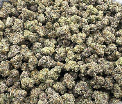 Biscotti (Gelato #25 x Girl Scout Cookies) Smalls Exotic