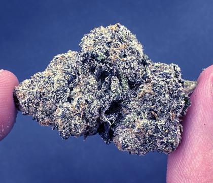 black lemon cherry topshelf