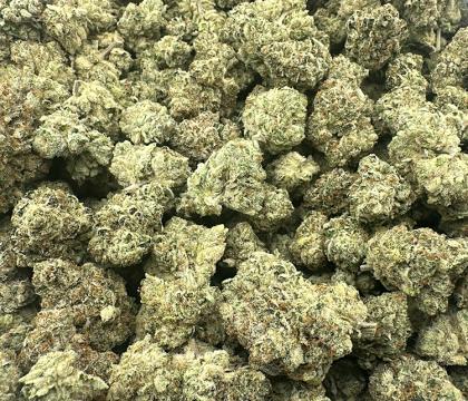 Cereal Milk Powerful CBX Exotic Hybrid