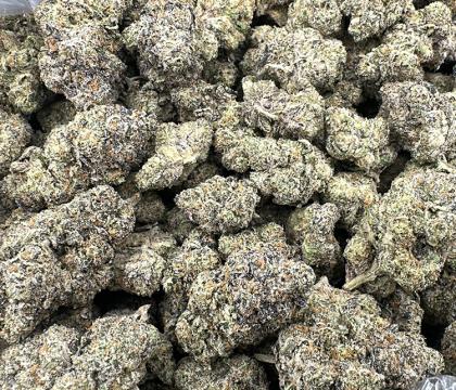 Cleopatra Indica dominant Hybrid very smooth