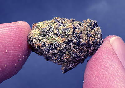 Coffin Candy Exotic Smalls Indica Leaning Hybrid 