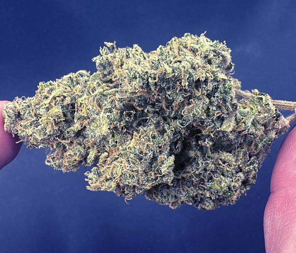 Durban Poison CBX High Grade Exotic Sativa