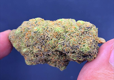 Gelato Cake Topshelf exotic Top quality