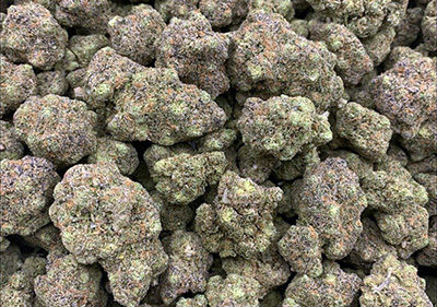 Gelato Cake Topshelf exotic Top quality