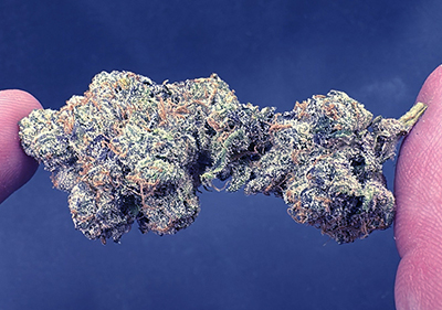 Grape Soda (Tahoe OG Kush) Indica leaning hybrid