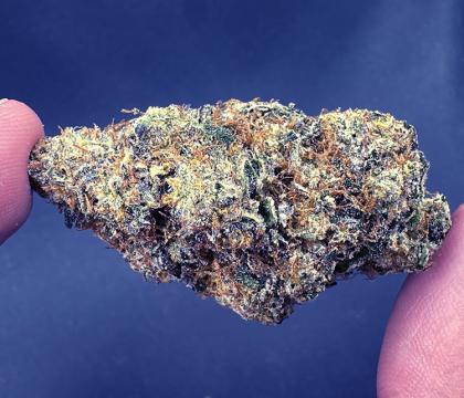 hollywood og topshelf