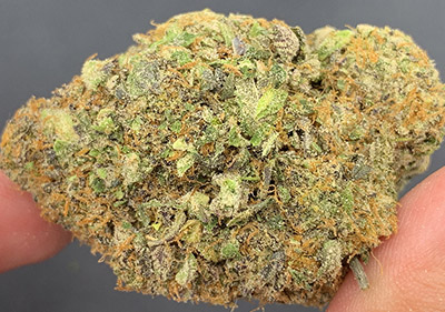 ice topshelf hybrid