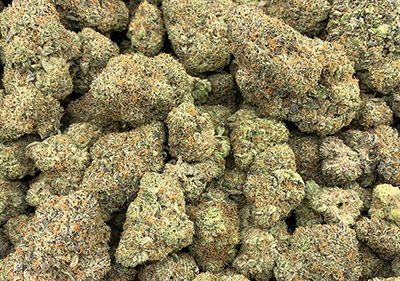 ice topshelf hybrid