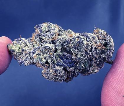 lemon cherry topshelf