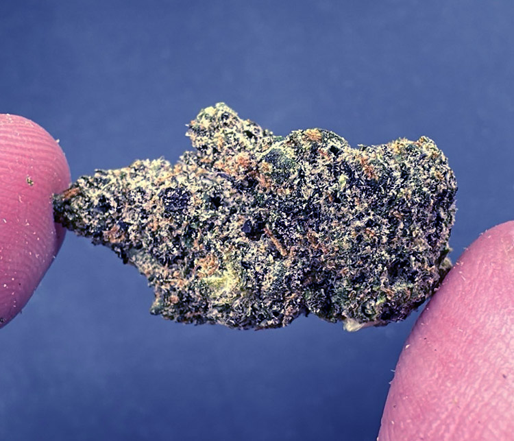 lemon cherry nerds