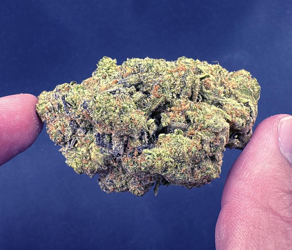 Magic Marker (RS11 x Permanent Marker ) Indica leaning Hybrid 