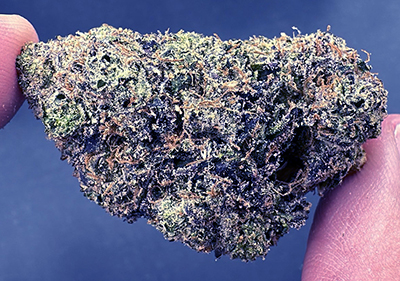 Marshmello Runtz | High End Hybrid