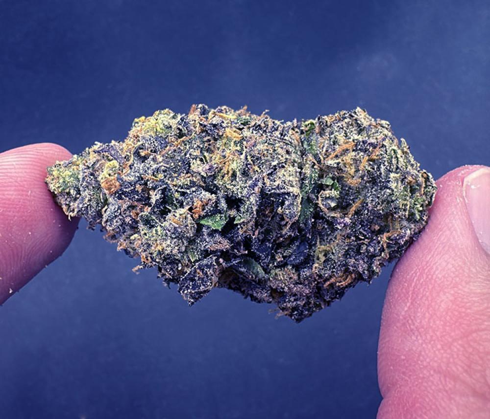 MOB smalls Indica Leaning Hybrid Exotic