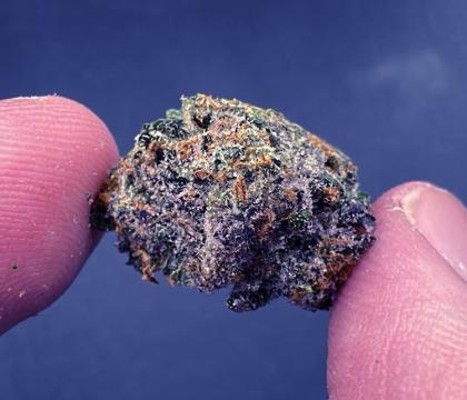 nightshade topshelf smalls