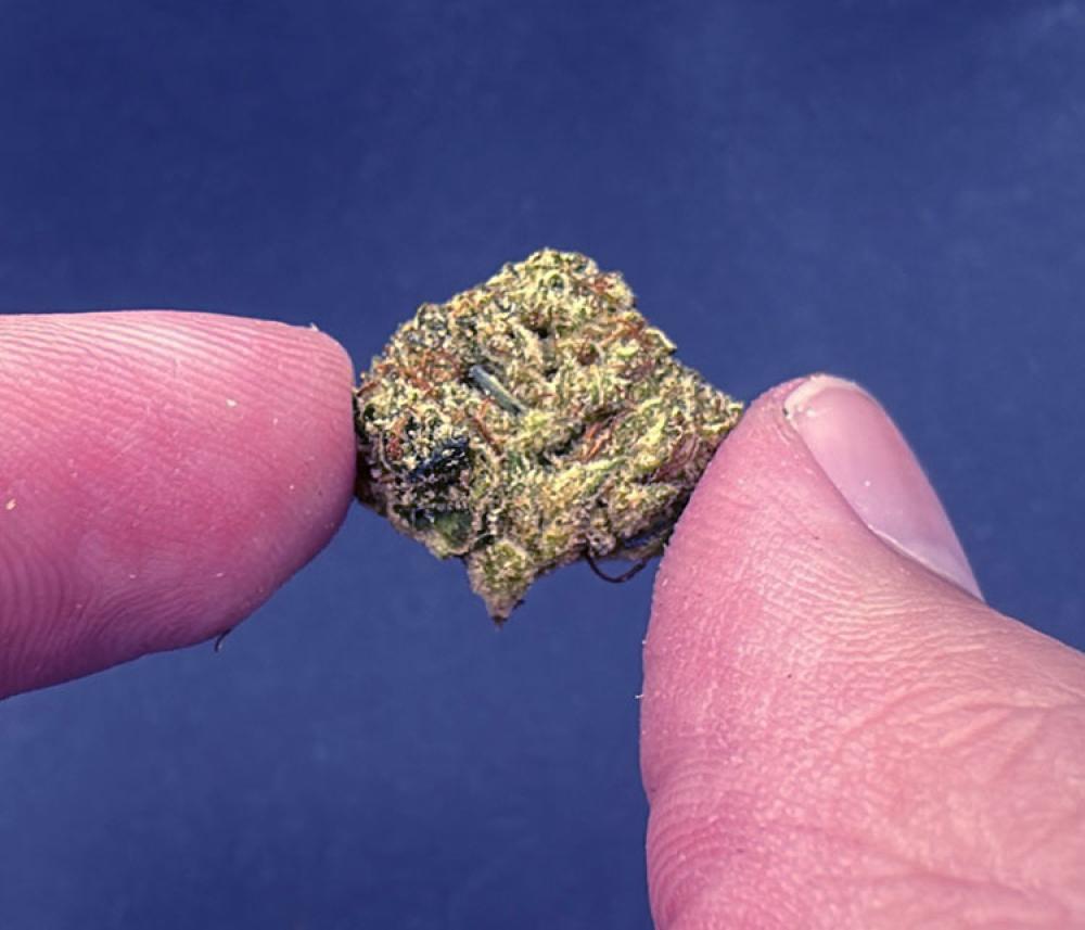 OG Chem (OG Kush X Chemdawg) Exotic Indica leaning smalls