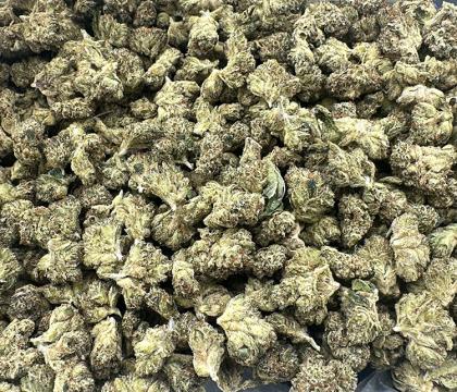OG Chem (OG Kush X Chemdawg) Exotic Indica leaning smalls