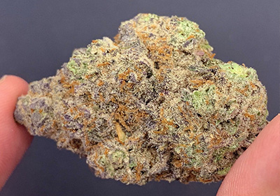 raspberry crasher topshefl indica leaning Hybrid exotic