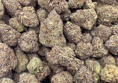 raspberry crasher topshefl indica leaning Hybrid exotic