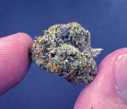 rs11 topshelf