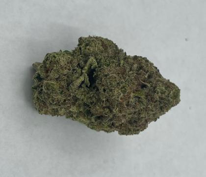 rs54 Rainbow Sherbert Hybrid Light Dep