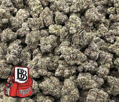 white cherry gelato hybrid high end exotic