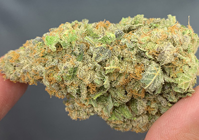 wedding pie 2 topshelf hybrid