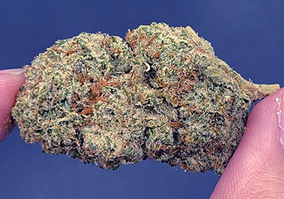 wookies topshelf
