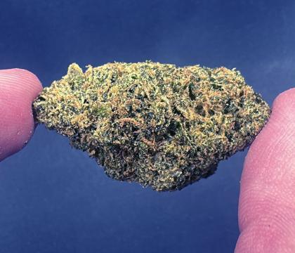 XJ-13 Sativa leaning Hybrid Exotic