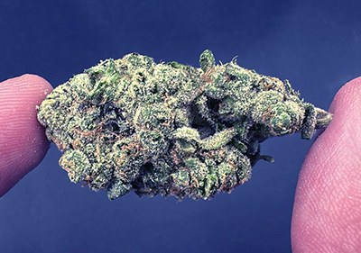 Zour Runtz (Runtz X Sour Diesel) Exotic Indica