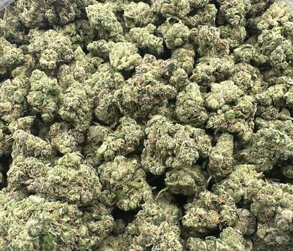 Zour Runtz (Runtz X Sour Diesel) Exotic Indica