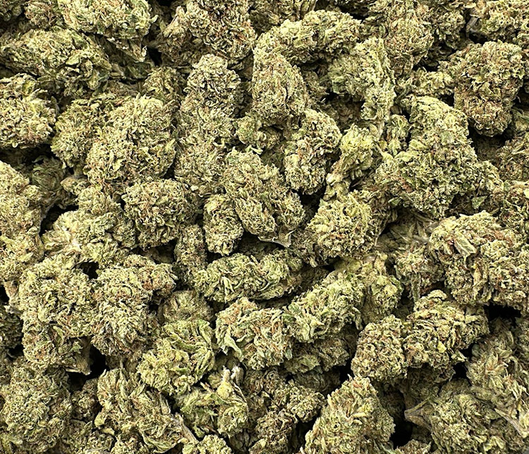 oaksterdam og topshelf