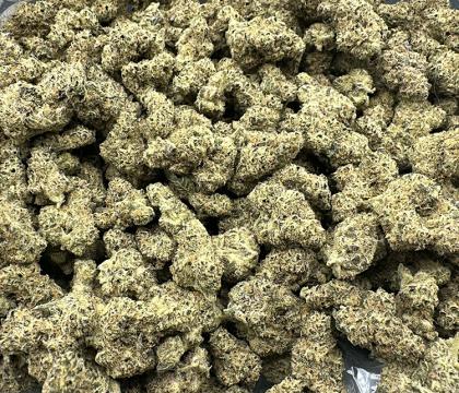 Aloha Exotic Sativa smalls