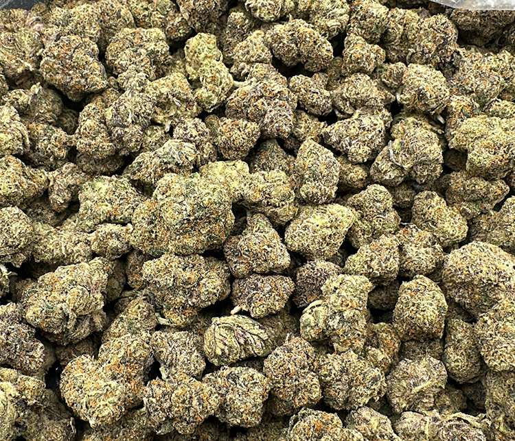 Biscotti (Medium Nugs) (Gelato #25 x Girl Scout Cookies) Exotic