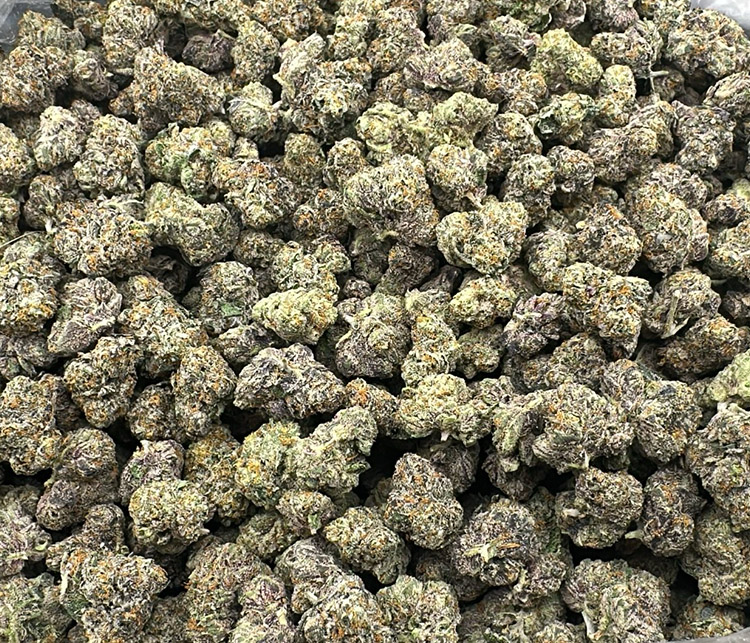 Biscotti (Gelato #25 x Girl Scout Cookies) exotic 