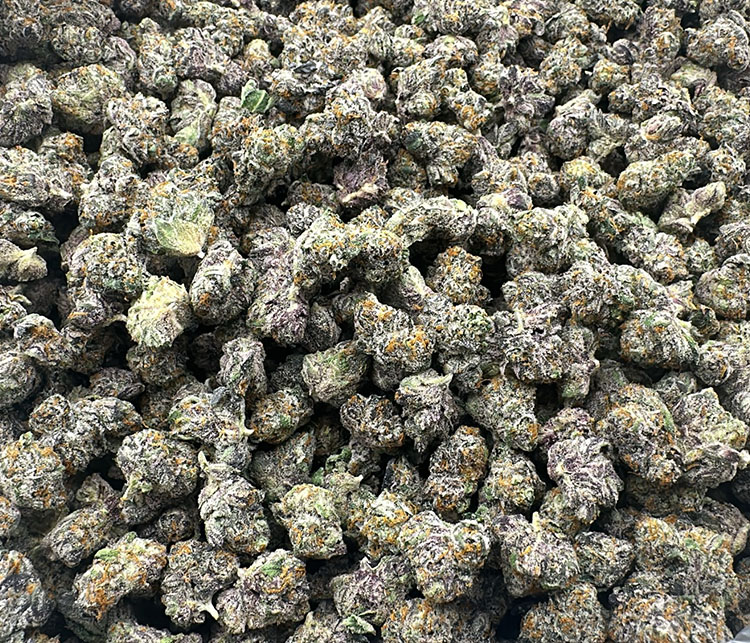 Biscotti (Gelato #25 x Girl Scout Cookies) Smalls Exotic