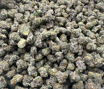 Biscotti (Gelato #25 x Girl Scout Cookies) Smalls Exotic