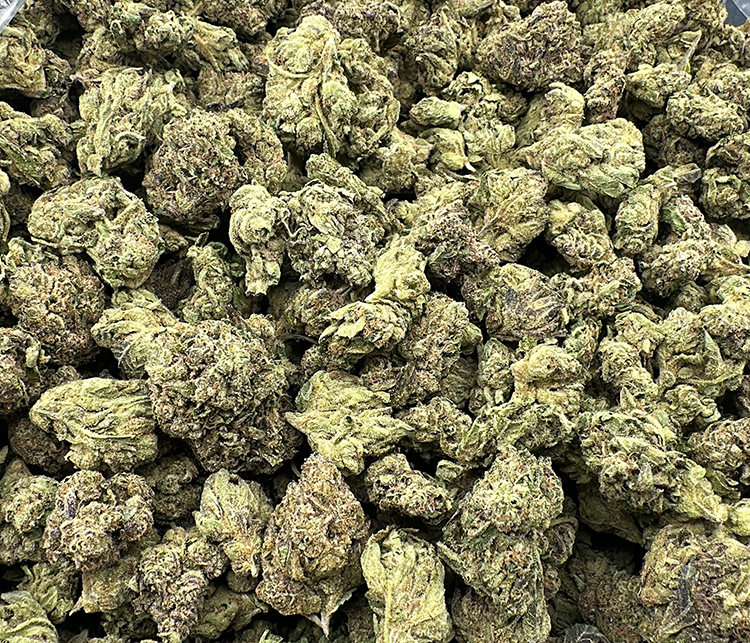 blue nerds hybrid indoor great value