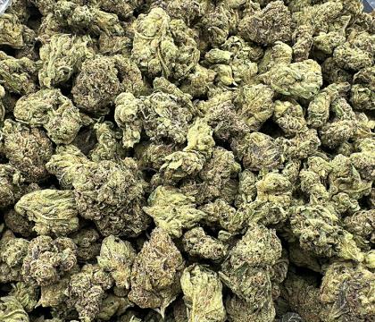 blue nerds hybrid indoor great value