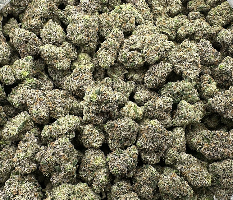 Buckshot OG (Venom OG and Biscotti) Indica Exotic