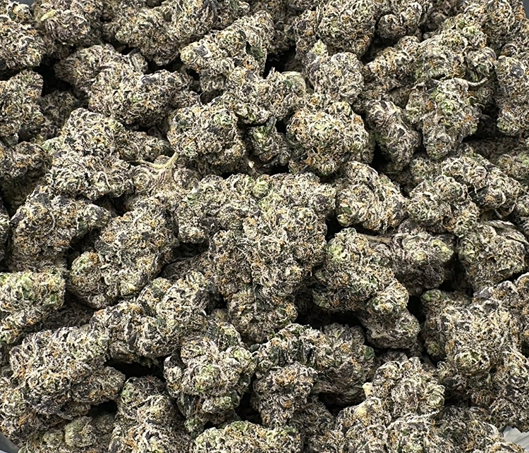 oaksterdam og topshelf