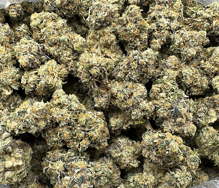 Nuclear Slurpee (Warheadz x Kut Throat Kandy) exotic Hybrid