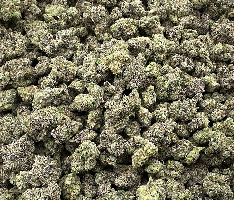 Buckshot OG (Venom OG and Biscotti) Indica Exotic