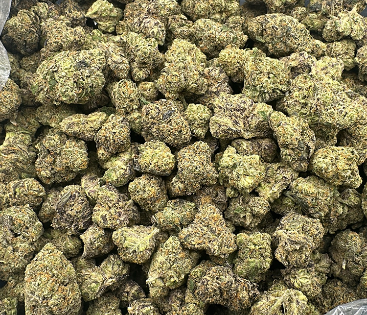 oaksterdam og topshelf