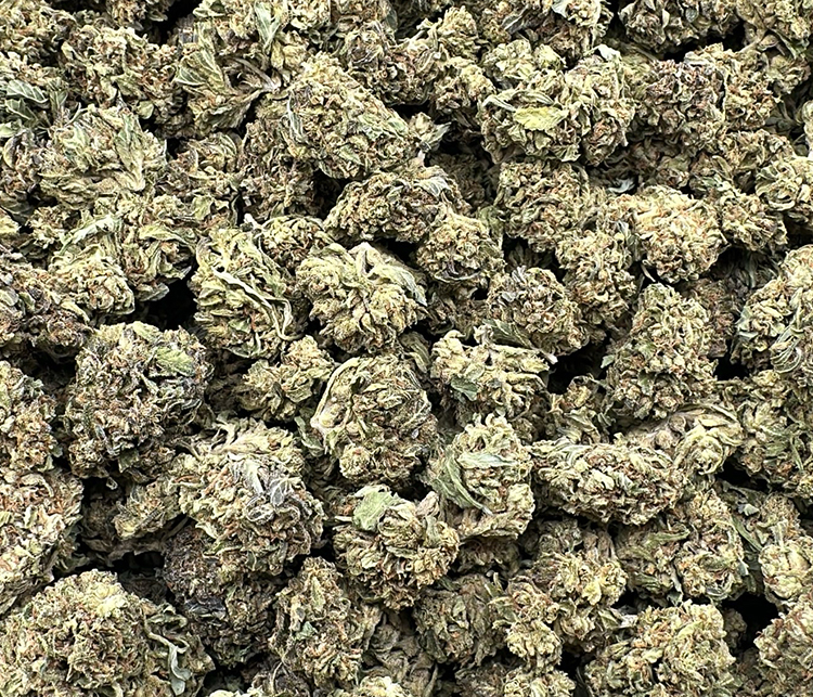 pop rocks light dep hybrid
