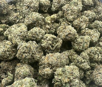 crocodile tears topshelf
