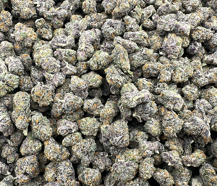 Gelato #33 smalls (Sunset Sherbet x Thin Mint GSC) Exotic