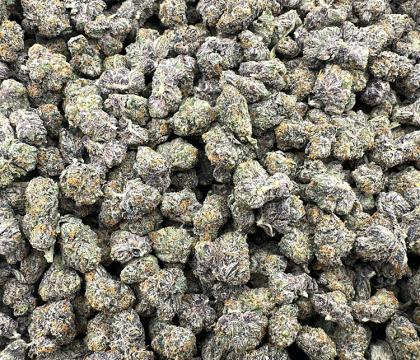 Gelato #33 smalls (Sunset Sherbet x Thin Mint GSC) Exotic