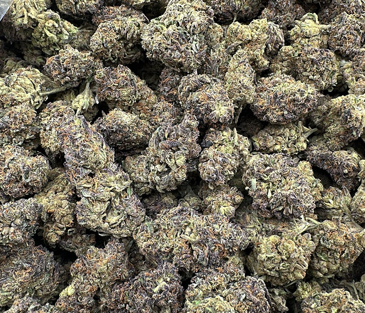 oaksterdam og topshelf